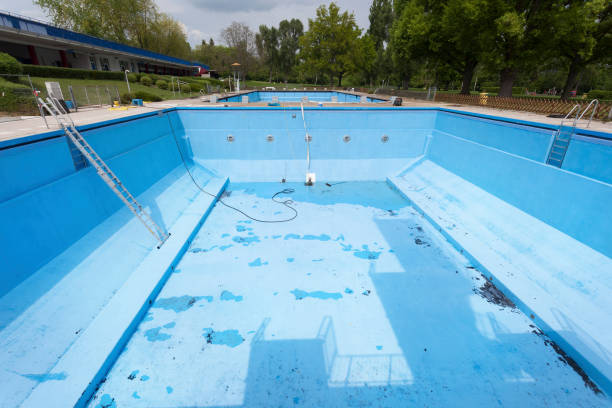 Best Flood damage cleanup  in Glencoe, FL