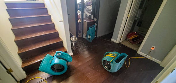Best Commercial water damage restoration  in Glencoe, FL