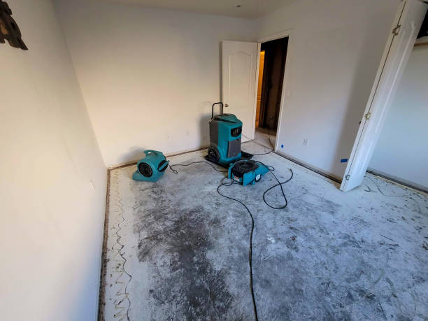 Best Sewage cleanup and water damage restoration  in Glencoe, FL