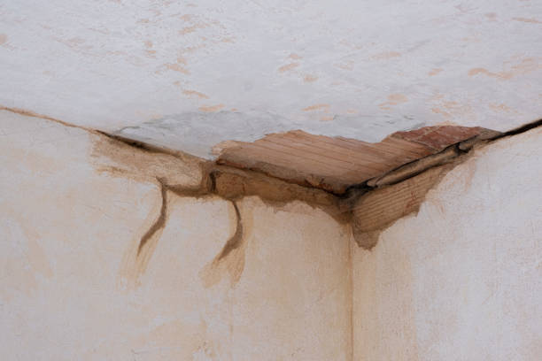 Best 24/7 water damage repair  in Glencoe, FL