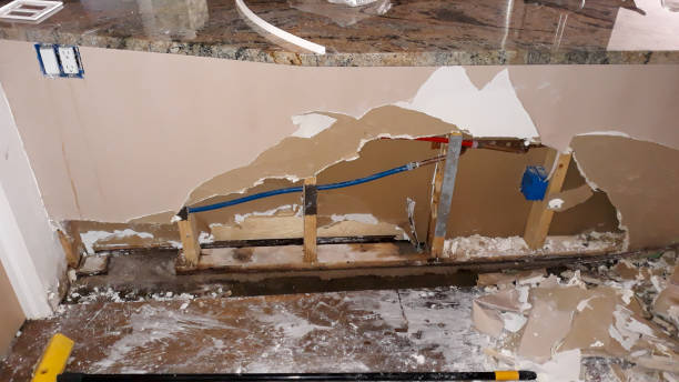 Best Water damage contractors near me  in Glencoe, FL