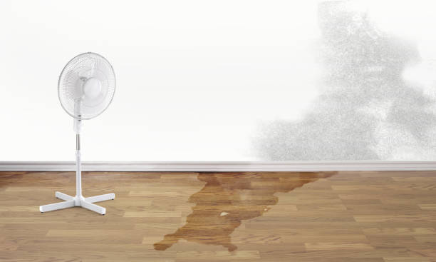 Best Commercial water damage restoration  in Glencoe, FL