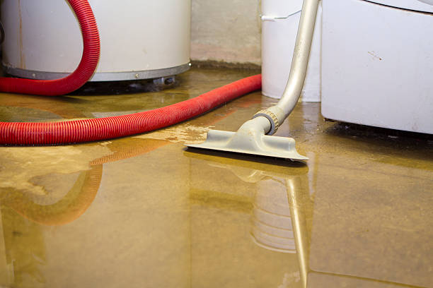 Best Flooded house restoration  in Glencoe, FL