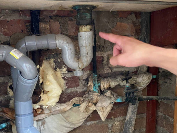 Best Water damage restoration near me  in Glencoe, FL