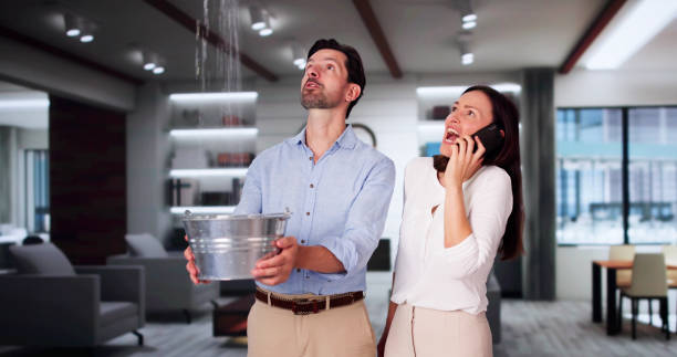 Best Water damage cleanup near me  in Glencoe, FL
